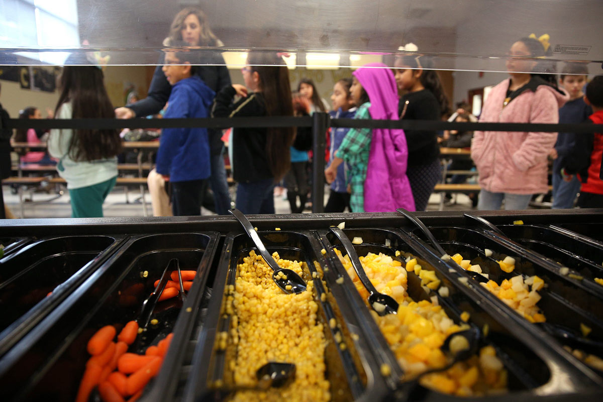 Education Catering
